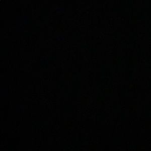 Meet your Posher, Sienna